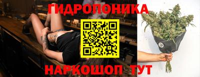 индика Бузулук